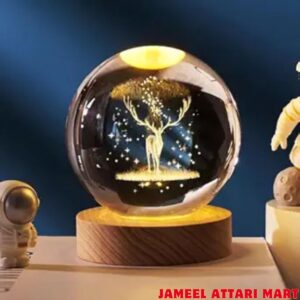 3D Deer Crystal Globe Lamp